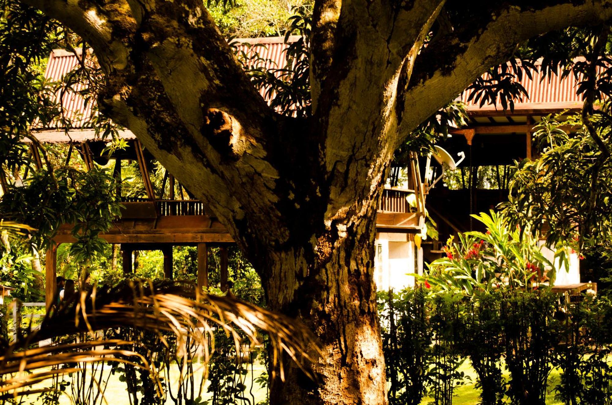 Hotel Bahia Aguacate Capurganá 外观 照片